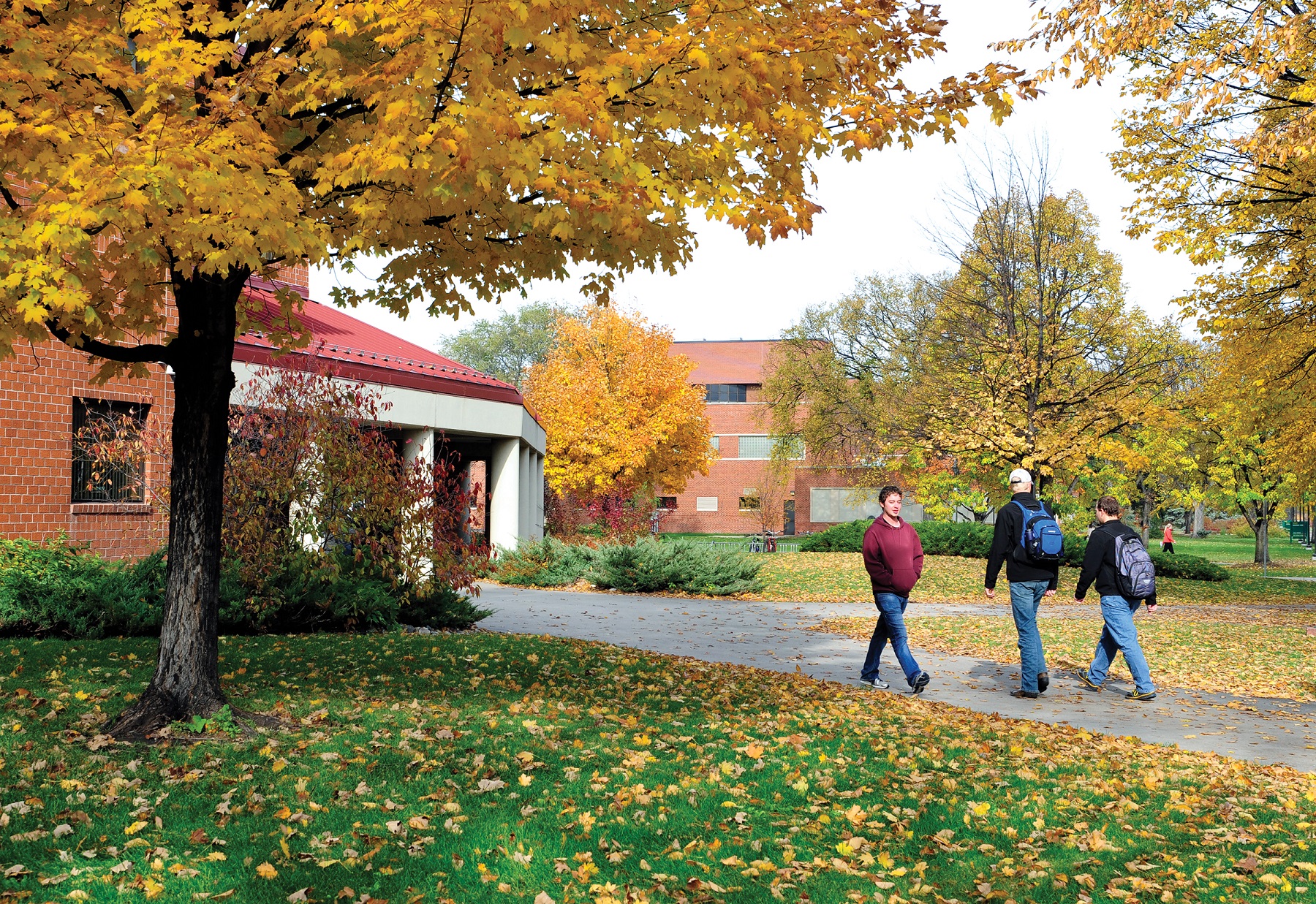 10/27/16 – Students walking outside on campus near Quentin Burdick Center.