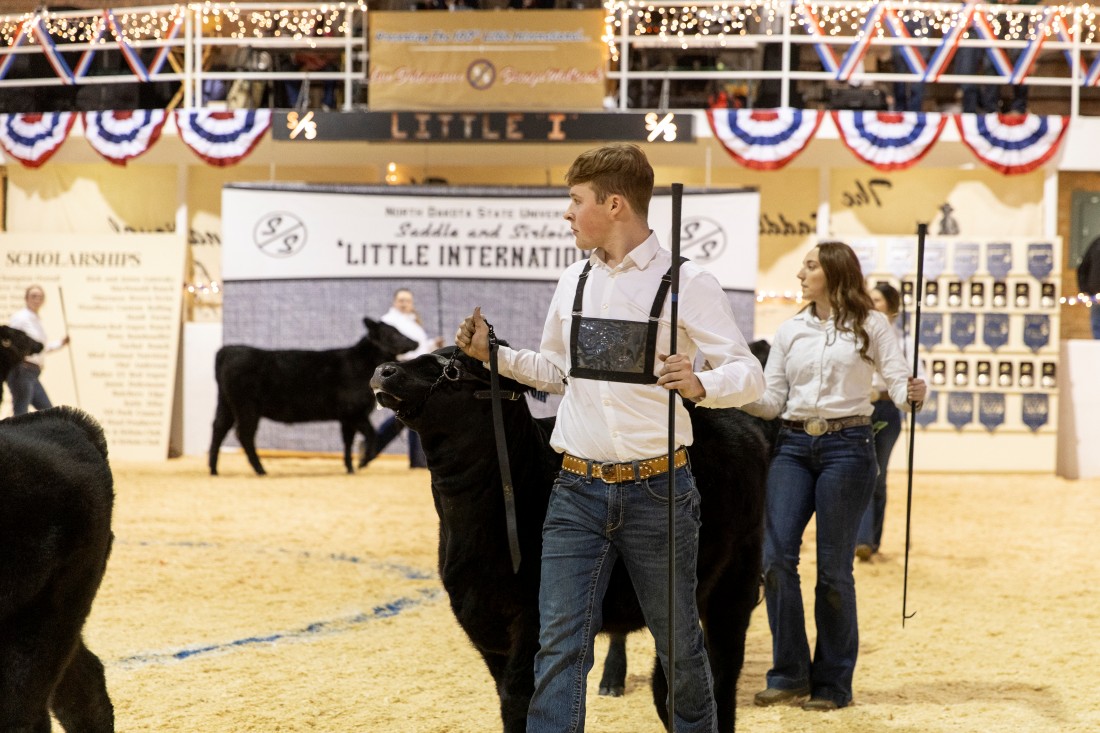 NDSULittleInternational02