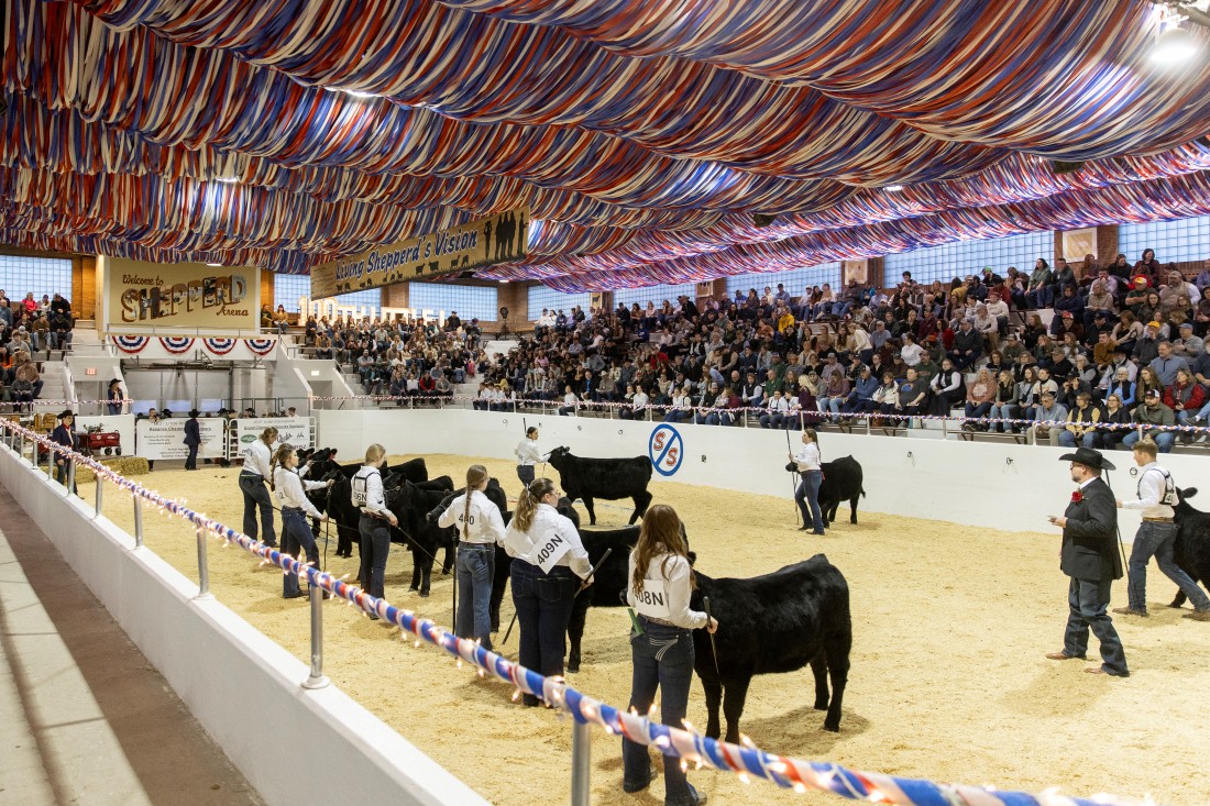 NDSULittleInternational03