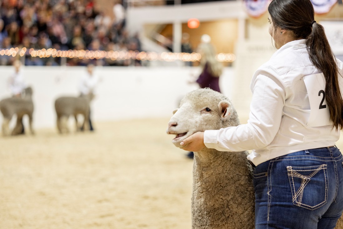 NDSULittleInternational04