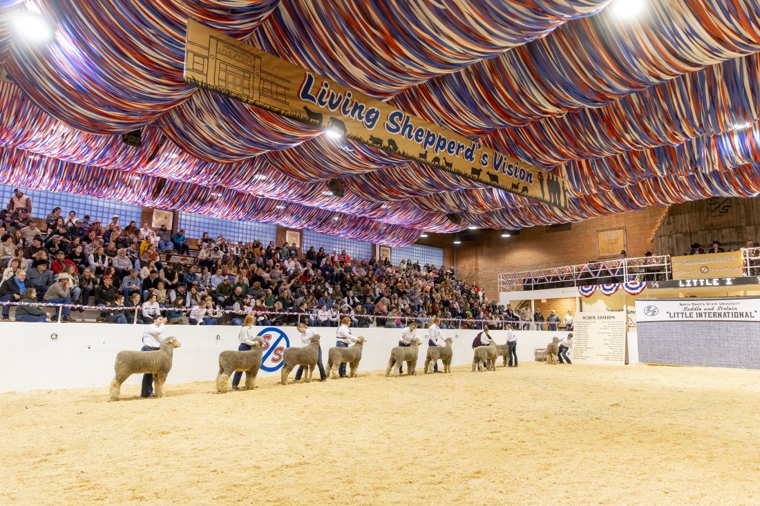 NDSULittleInternational05