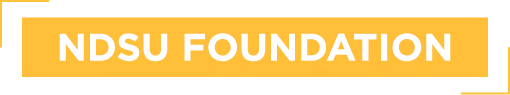 NDSU Foundation banner design.