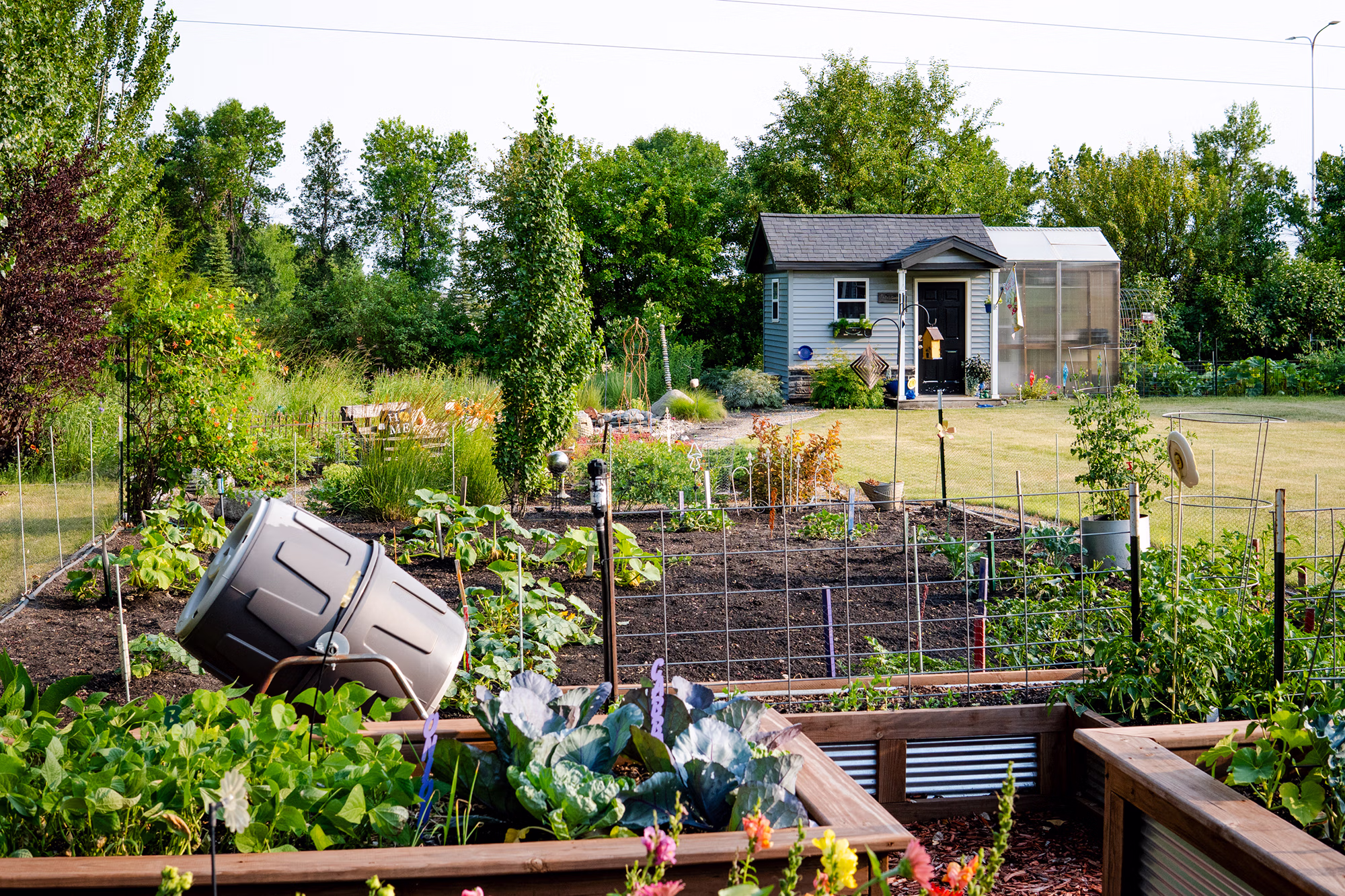 A snapshot of Julie Vetter's home garden in Fargo, North Dakota.