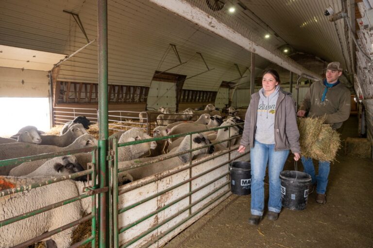 Anonymous estate gift establishes Dr. Cook Agricultural Leadership Scholars Program at NDSU
