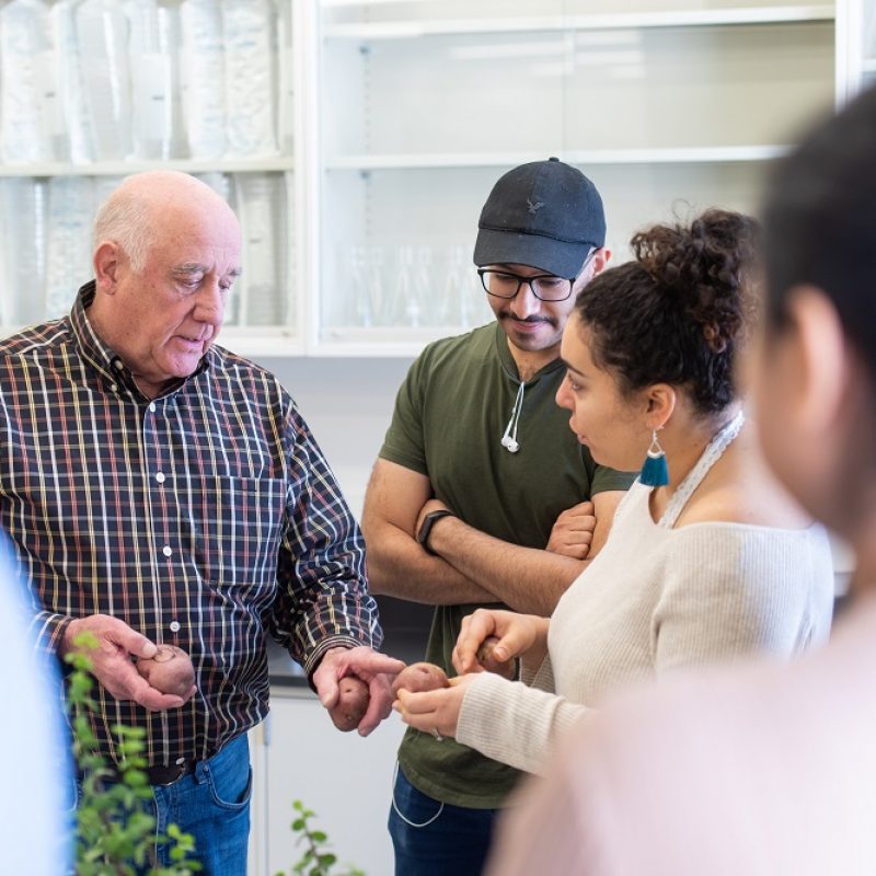 Plant sciences professor, Gary Secor discusses potatoes with grad students.